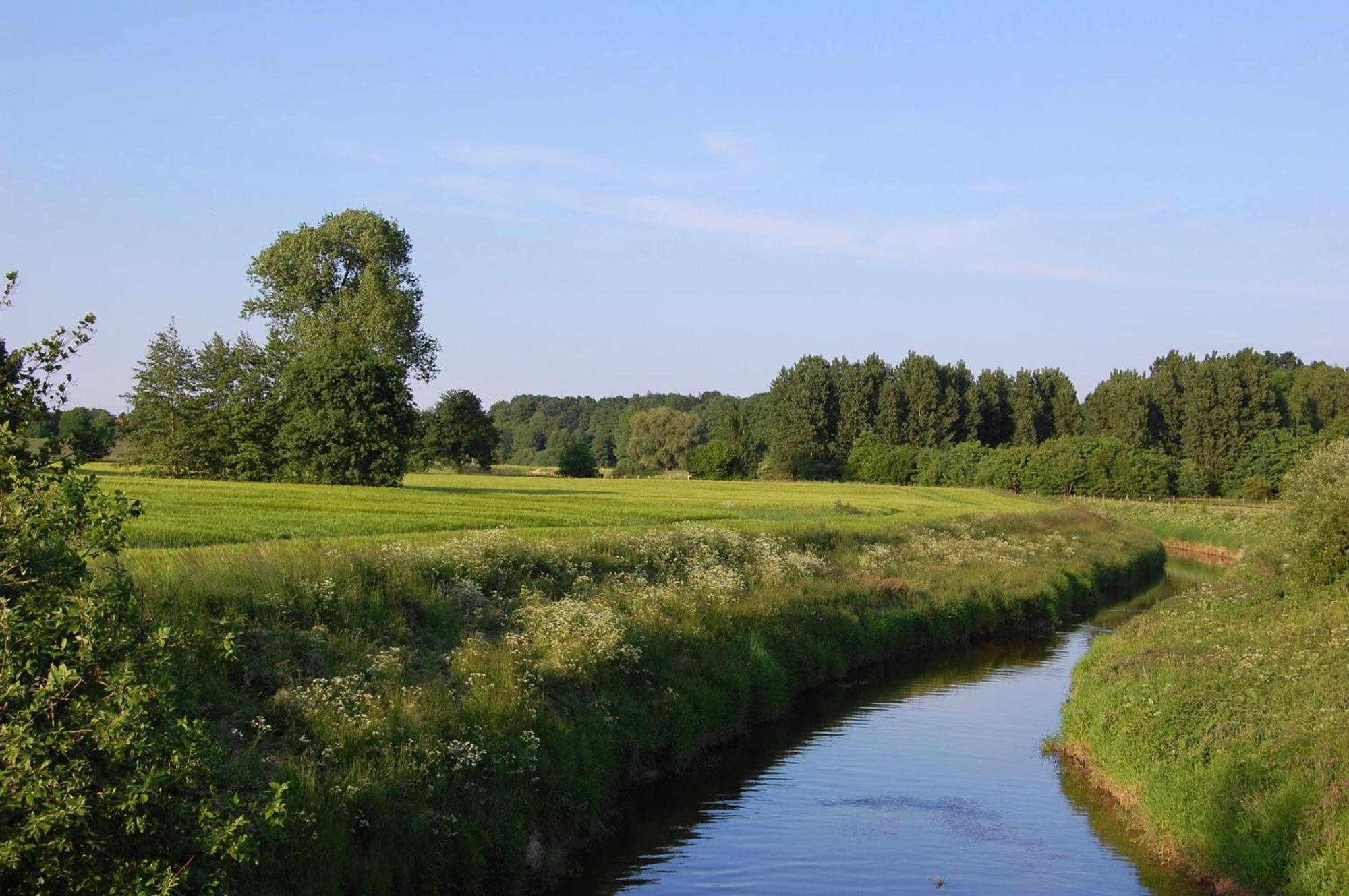 Landidyll Wilminks Parkhotel Neuenkirchen  Bagian luar foto