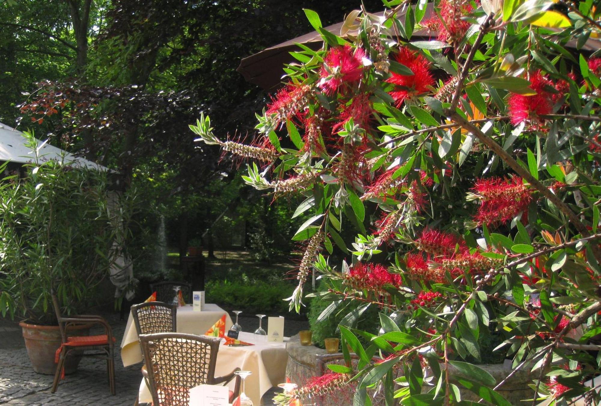 Landidyll Wilminks Parkhotel Neuenkirchen  Bagian luar foto